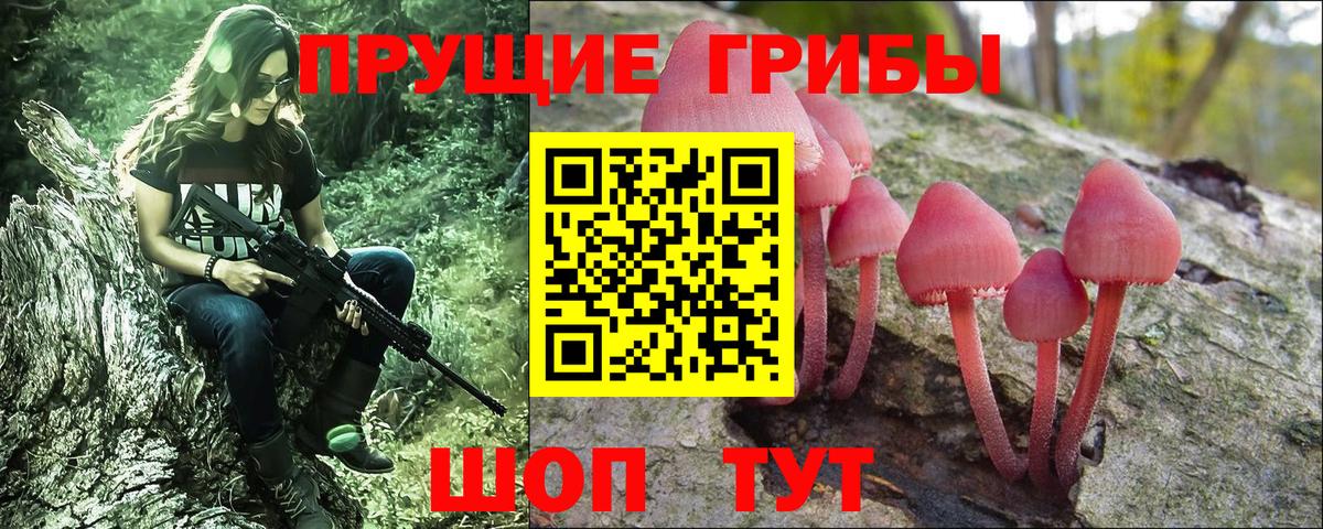 Псилоцибиновые грибы Psilocybe Ростов-на-Дону