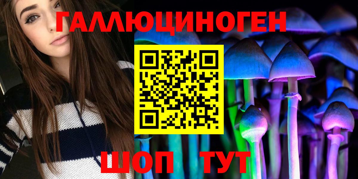 А ПВП Ростов-на-Дону