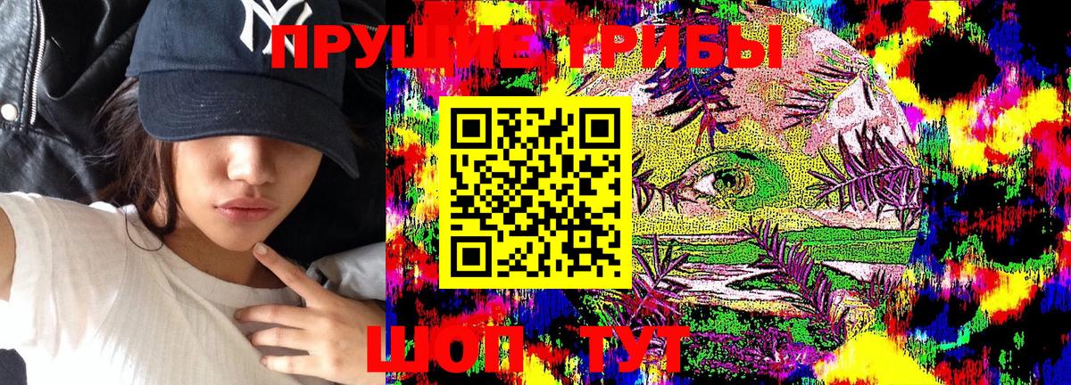 Галлюциногенные грибы Magic Shrooms  Галлюциногенные грибы GOLDEN TEACHER  Вход с VPN  Ростов-на-Дону 